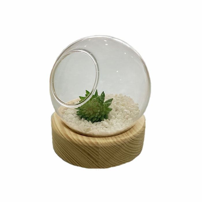 ball terrarium with wood base (4)