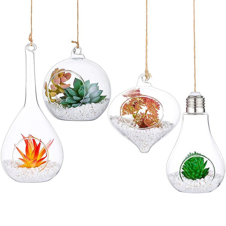 glass hanging terrariums